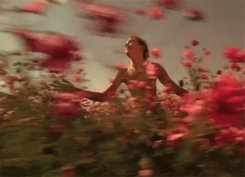 Man Standing In Red Flower Field GIF