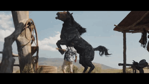 Man Standing Next To Black Horse GIF