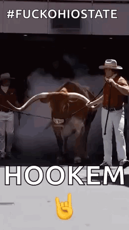 Man Standing Next to Bull With Long Horns and Hookem Sign