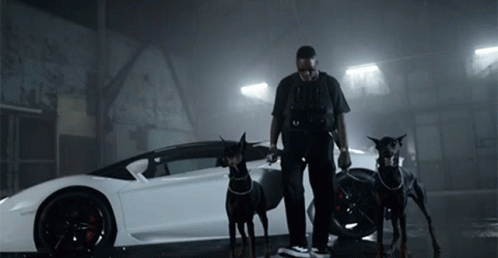 Man Standing Next to Two Dogs