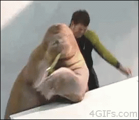Man Standing Next to Walrus Eating Meat