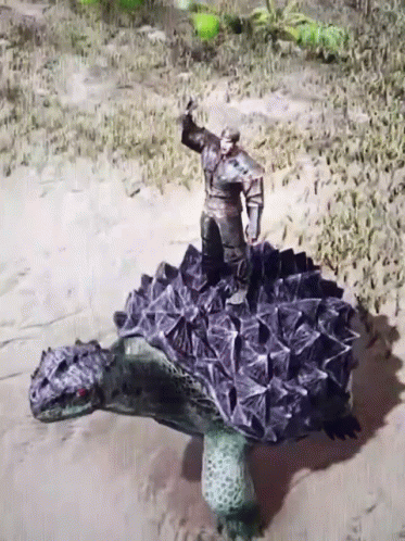 Man Standing On Large Turtle GIF