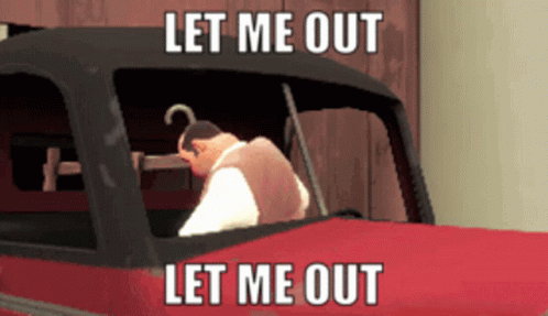 Man Stock In The Car Let Me Out GIF