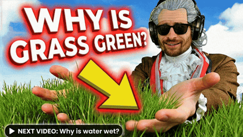 Man Sunglasses Headphones Holding Grass Why Is Grass Green