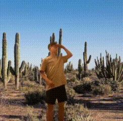 Man Surrounded by Cacti in Desert