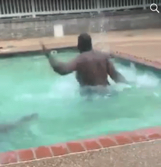 Man Swimming in Pool With Shark