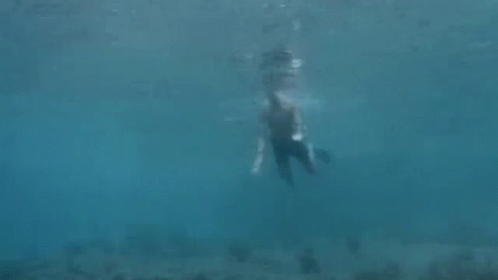 Man Swimming Underwater With Flippers GIF