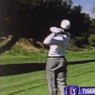 Man Swinging Golf Club in Front of Tiger Sign
