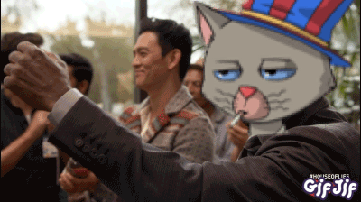 Man Taking Picture With Cat on Head