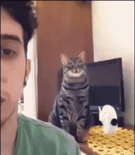 Man Taking Selfie With Cat
