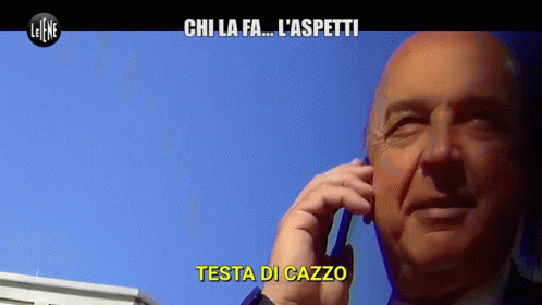 Man Talking On Cell Phone Testa Di Cazzo GIF