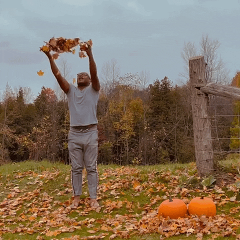 Man Throws Fall Leaf Up GIF