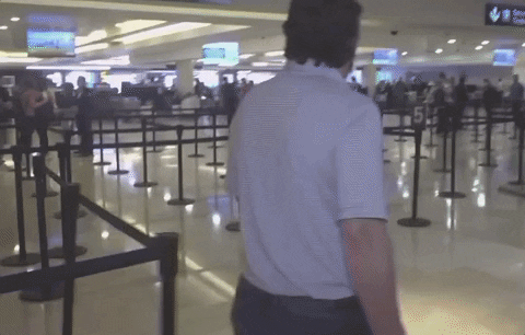 Man Travel Waving GIF