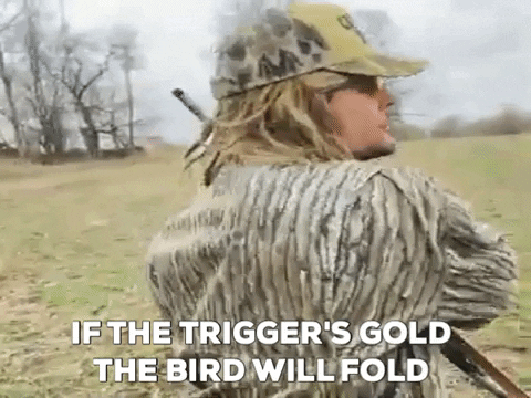 Man Trigger Folded Bird Will Fold GIF