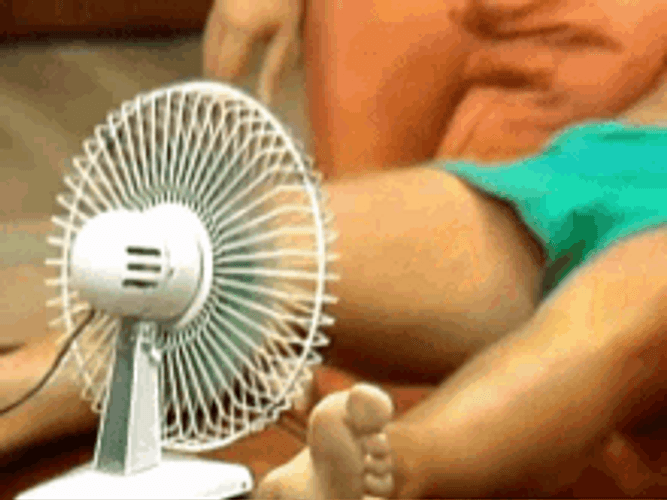 Man Using Small Electric Fan Gif