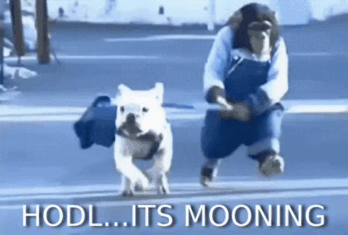 Man Walking Dog Hodl Its Mooning GIF