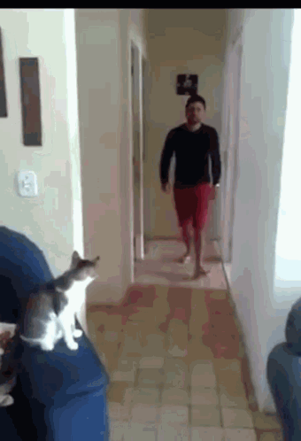 Man Walking Down Hallway With Cat