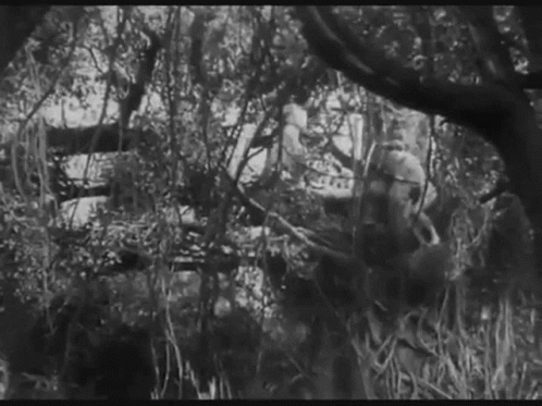 Man Walking in Cave with Vines