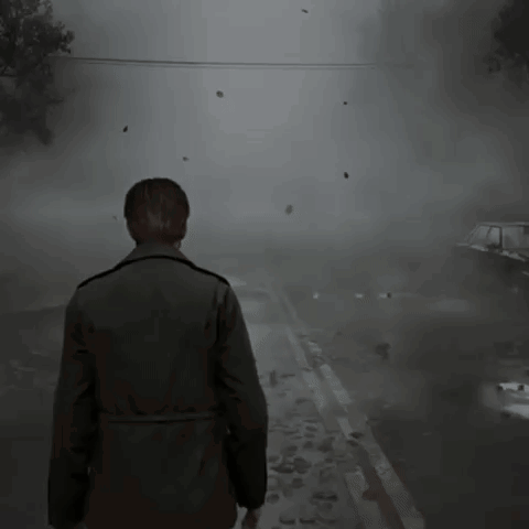 Man Walking on Foggy Street With Birds