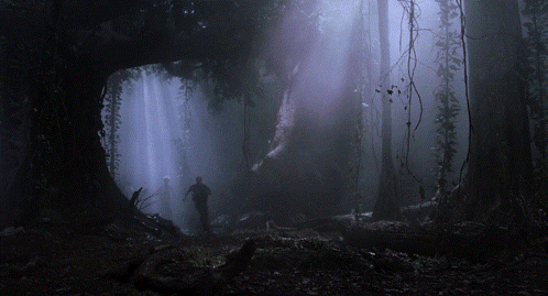 Man Walking Through Dark Forest With Purple Light GIF