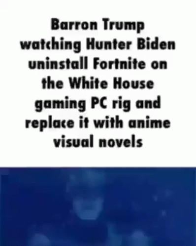 Man Watching Hunter Biden Uninstall Fortnite at White House
