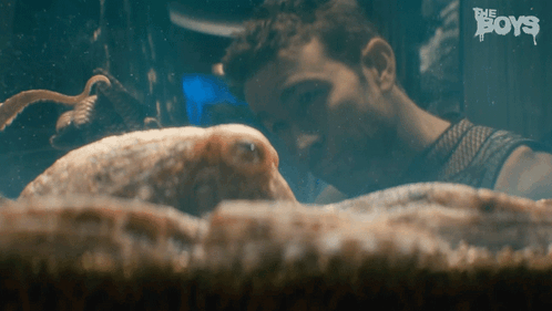 Man Watching Octopus in Aquarium