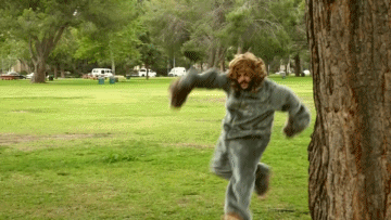 Man Wearing Bigfoot Costume GIF