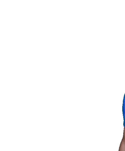 Man Wearing Coasa Blue Shirt