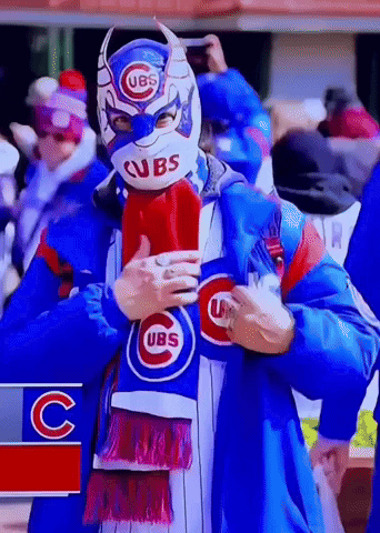 Man Wearing Cubs Mask and Scarf