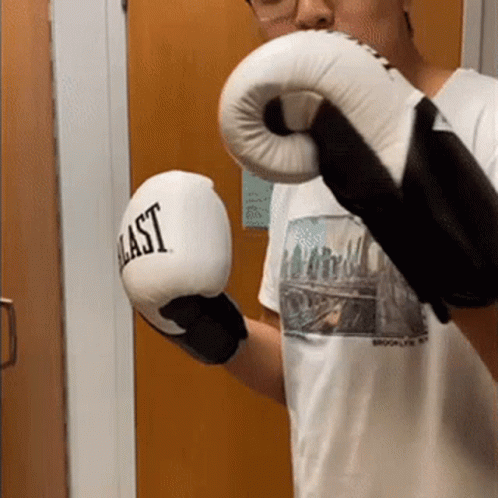 Man Wearing Everlast Boxing Gloves GIF