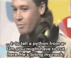 Man Wearing Headphones Talking About Python