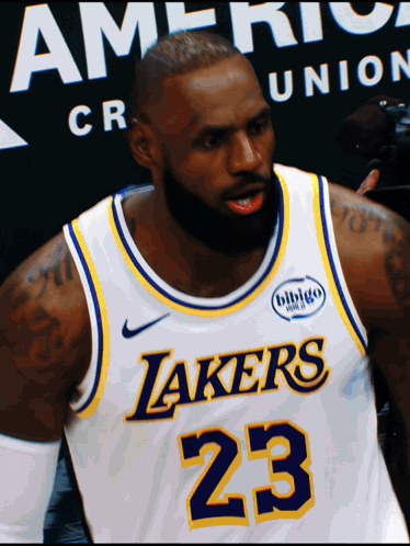 Man Wearing Lakers Number 23 Jersey