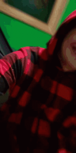 Man Wearing Red Checkered Hoodie GIF