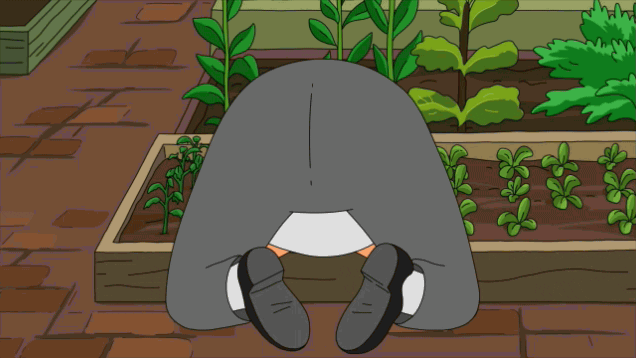 Man Wiggles While Gardening GIF