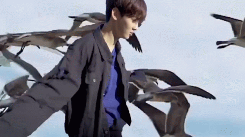 Man With Arms Outstretched in Front of Seagulls