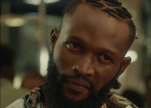 Man With Beard And Braids GIF