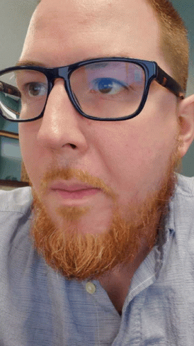 Man with Beard and Glasses Looking at Camera