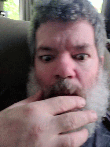 Man With Beard and Hand on Face