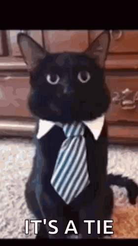 Man With Beard And Mustache And Hat GIF