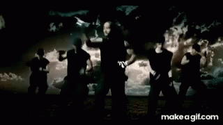 Man With Beard And Ponytail GIF