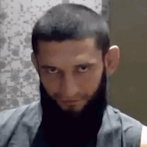 Man With Beard And Shaved Head GIF