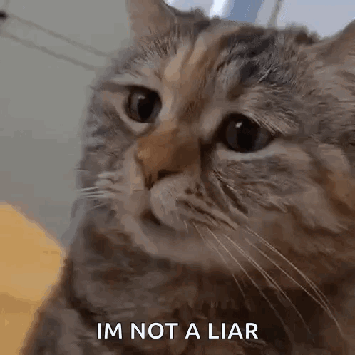Man With Beard Asking Liar Liar Pants on Fire