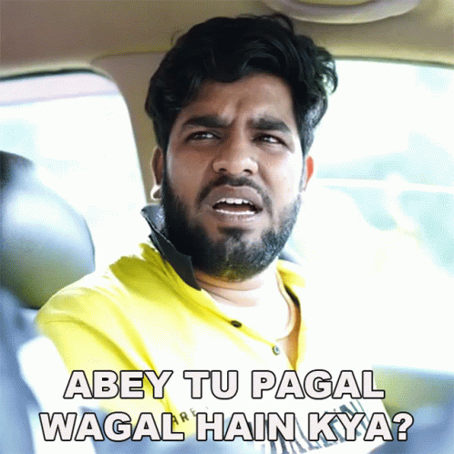 Man With Beard in Car Says Abey Tu Pagal Wagal Hain Kya