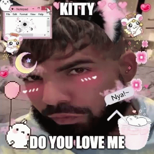 Man With Beard in Cat Ear Headband Says Kitty Do You Love Me