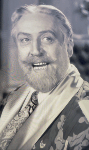 Man With Beard in Floral Robe and Tie