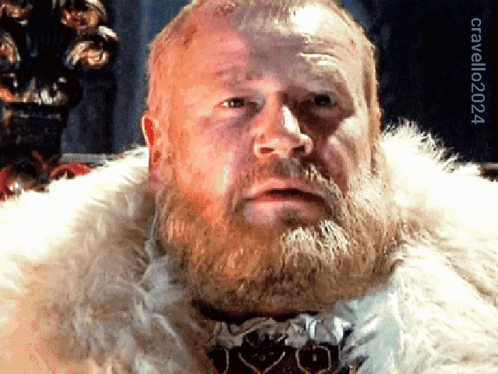 Man With Beard in Fur Coat 2020