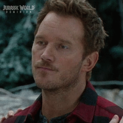 Man with Beard in Plaid Shirt