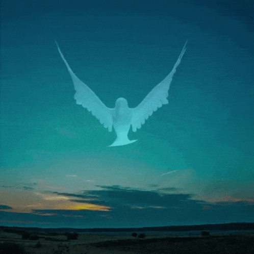 Man With Beard In TLC White Shirt GIF