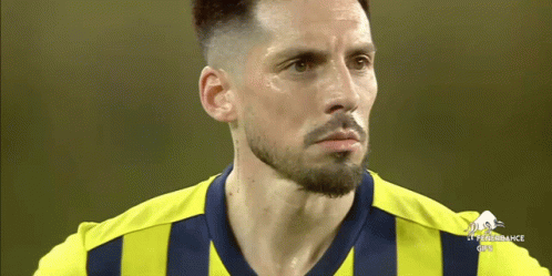 Man With Beard in Yellow Blue Striped Shirt Saying Performance