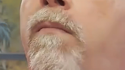 Man With Beard Making Funny Face GIF